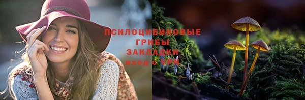 трава Абинск