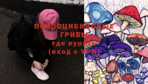 стаф Алексеевка