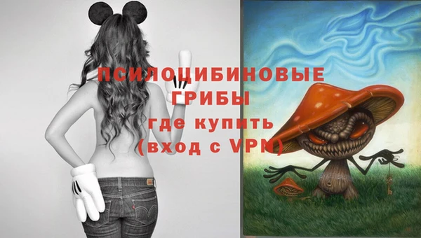 спайс Абдулино