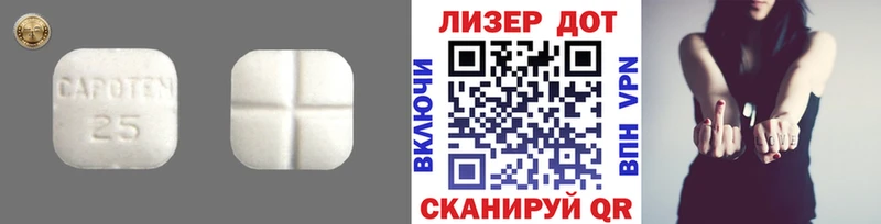 ссылка на мегу зеркало  Шенкурск  Лсд 25 экстази кислота 