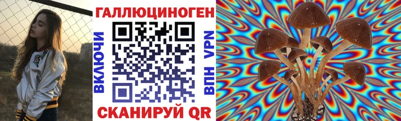 где купить наркоту Шенкурск Галлюциногенные грибы Cubensis